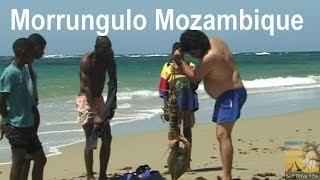 Self Drive Morrungulo Mozambique