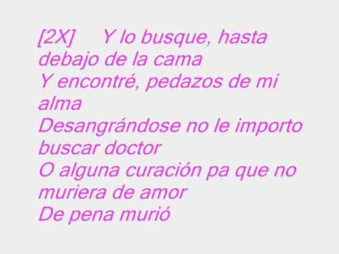 Ana Barbara Lo Busque Youtube