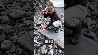 This Stone Might Contain an Ancient Discovery 😮 #fossil #prehistoric #science #history #shorts