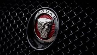 Jaguar Car Front Side Logo