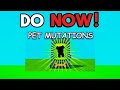 Grow a Garden's BIGGEST Update Is Here– DO THIS NOW!