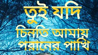 তুই যদি চিনতে আমায় পরানের পাখি বাংলা গান। কষ্টে গান। bangla folk song tui jodi chinti amay.....😭😭💔💔💔