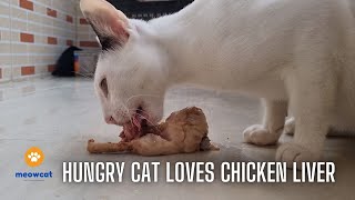 Cats eating chicken liver by meowcat 388 views 1 year ago 13 minutes, 50 seconds