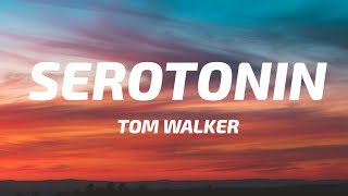 Tom Walker - Serotonin (Lyrics)