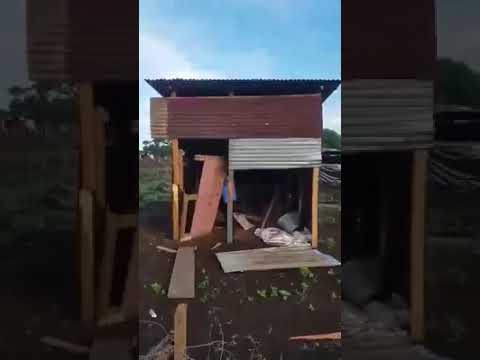 Policías se burlan mientras desalojan a tomatierras en Las Jagüitas tv kanalları