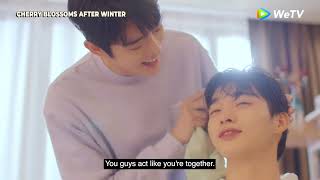 Cherry Blossoms After Winter on WeTV