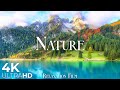 Nature Relaxation Film 4K - Morning with Beautiful Relaxing Peaceful Music - Video Ultra HD