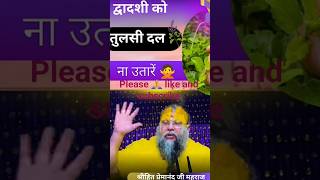 द्वादशी को तुलसी दल ना उतारें 🚫🌿 | श्रीहित प्रेमानंद जी महाराज 🙏#@ Shri Hit premanand Maharajji#baja