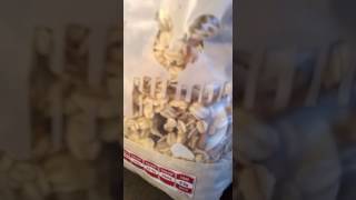 Live maggots found in Muesli packet from Cold Storage