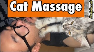 Cat Massage - Pandai Betul Kucing Ni Urut Tuan Dia Ye #kucing #cat