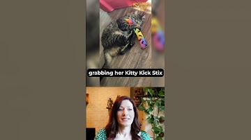 A Quick Reaction to the Kitty Kick Stix