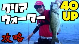 クリアウォーターでもハードプラグでデカバス釣っちゃう天才
