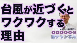 台風が近づくとワクワクする理由【精神科医・樺沢紫苑】