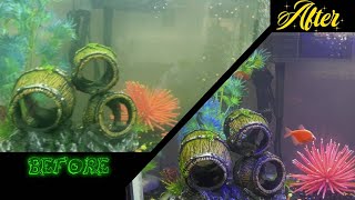 How to CLEAN & SETUP Fish Aquarium | How to make your Fish Tank Look like Store Dentist Office GLOW by Jeep Creep 115 views 5 months ago 14 minutes, 4 seconds