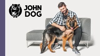 Jak nauczyć psa reagowania na komendę NIE   TRENING PSA  John Dog