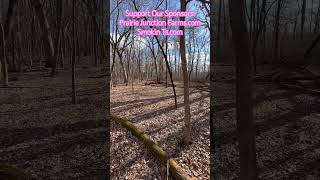 Happy Place Kombucha Kombucha Farm Foraging