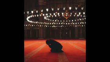 سورة النمل | ياسر الدوسري |ارح قلبك وسمعك #quran #اكسبلور #المصحف #قرآن #yasseraldossary #قرآن_كريم
