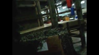 Miami Airsoft Force On Force 172016