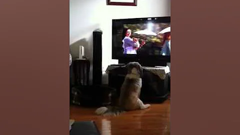 Kaydee watching tv