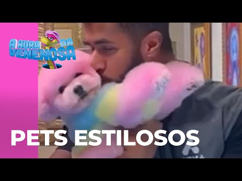 Vídeo: Cães Coloridos