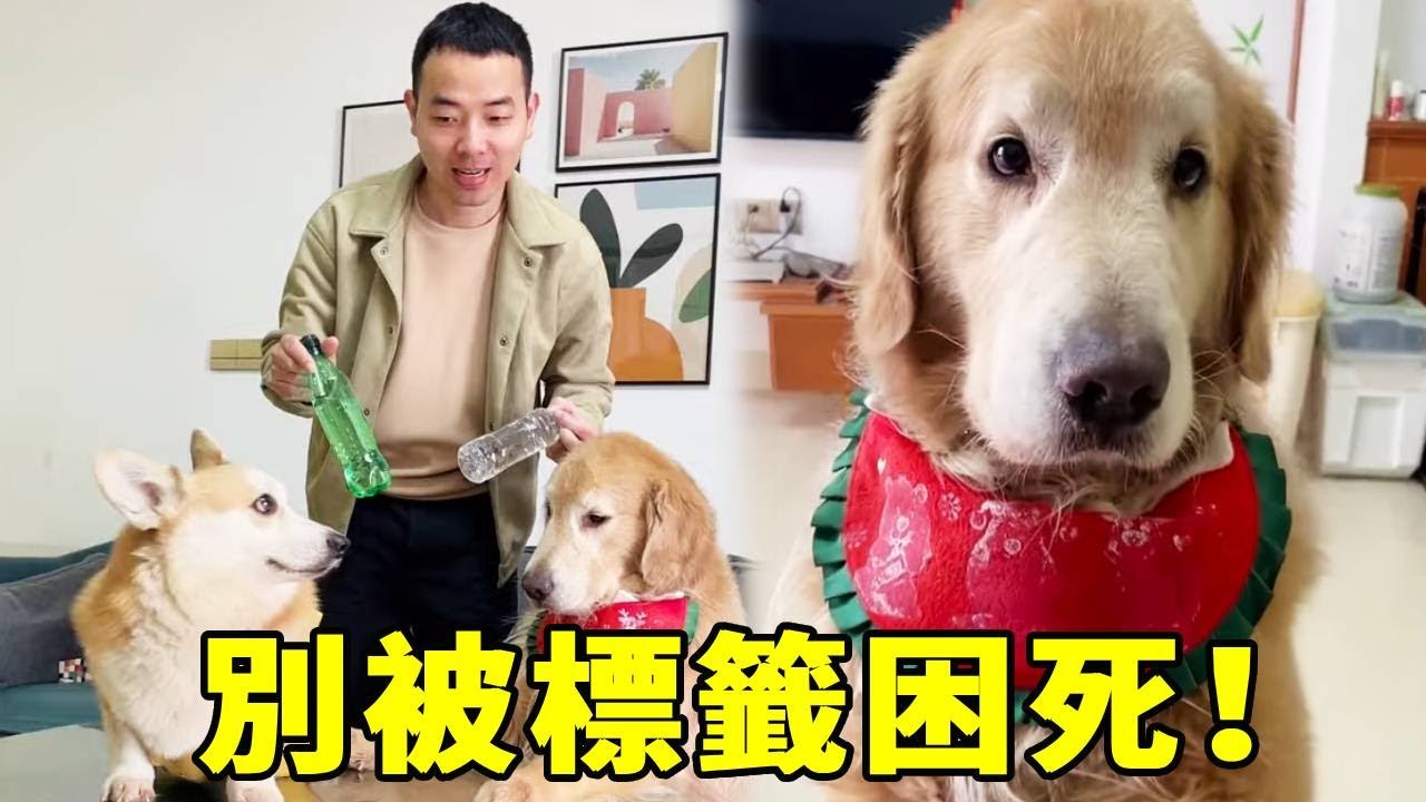 💥顛覆認知！雪碧蘇打水理論爆火：你是什麼只有自己知道，別被標籤困死！【起错名的四毛】