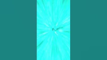 3D Dynamic Simulation - Studio Target 3D video agency