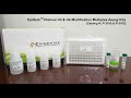 EpiQuik Histone H3 & H4 Modification Multiplex Assay Kits – Kit Demonstration