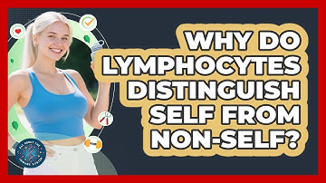 Why Do Lymphocytes Distinguish Self From Non-self? - All About the Immune System
