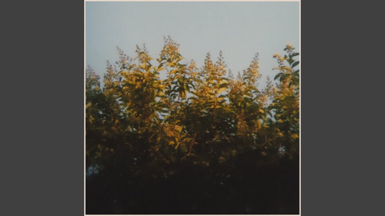 Watch Intervallic on YouTube Watch Intervallic on YouTube