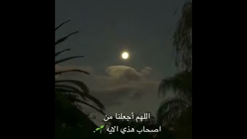 حالات واتس||القارئ/ناصر القطامي||سورة/الذاريات||تصاميم قران||انستقرام||استوري||مقاطع قصيرة