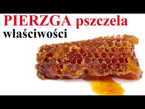 PIERZGA pszczela - właściwości, zastosowanie,