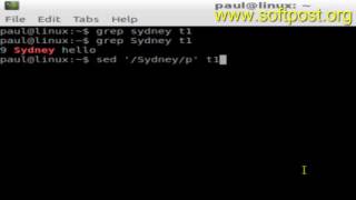 Difference between grep and sed in Mac OSX Terminal Content