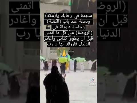 ليتني في سرب الحمامي