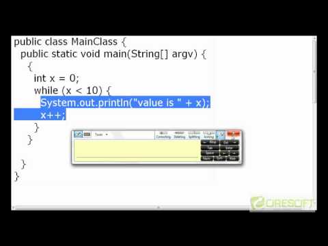 Java While Loop