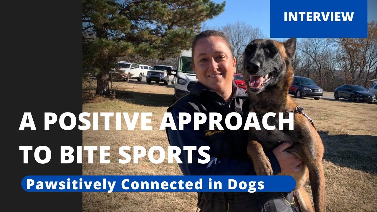 A Positive Approach to Bite Sports YouTube