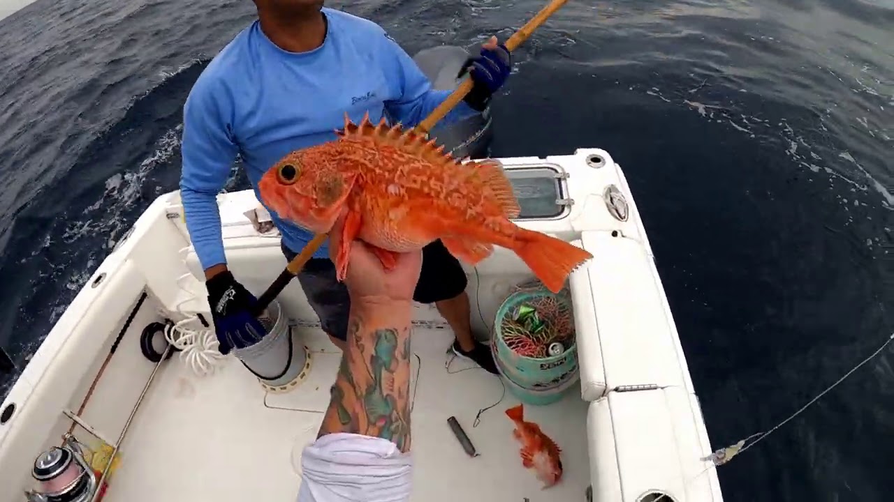 Pesca de FONDO en aguas PROFUNDAS con carrete ELECTRICO, Pesca del Alto ! 