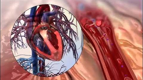 Blood Pressure: Learn@Visible Body