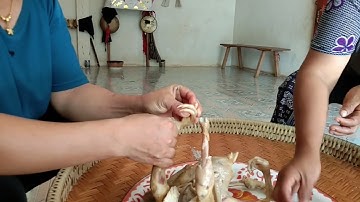 nrog peb saib kaw taw qaib ua ke os