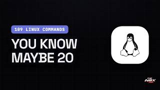 Every Linux Command A Sysadmin Types, In One Sitting