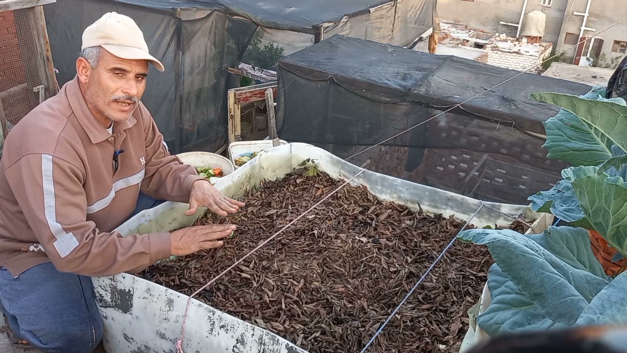 لزيراعة الأورجنيك الجزء الثاني من تكوين قمرية الكمبوست النباتي 139