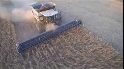 S77 Gleaner combine, soybean harvest and a drone.