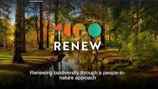 Podcast | Renewing biodiversity through a peopleinnature approach with Professor Kevin Gaston