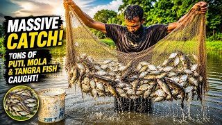 🐟 Massive Catch! 🎣A net full of Puti, Mola & Tangra fish! Rural fishing at its best. 🌿🔥