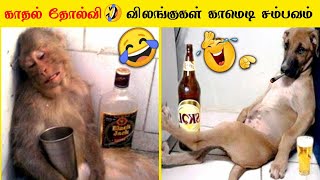 விலங்குகள் செய்த காமெடி சம்பவங்கள் | Funny Animals Video 2022  | Part 2 | Comedy