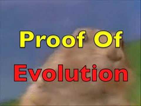 Evolving Gopher
