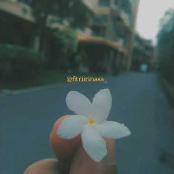 Story WA Armada-penantian (cover chika lutfi)