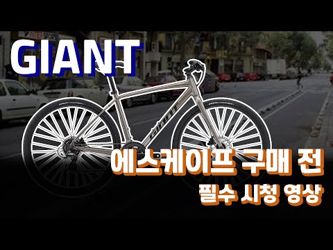 자이언트 에스케이프 구매 전 필수 시청 영상 😃 / 하이브리드 자전거 추천
