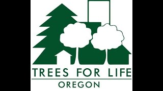 Why Large Trees and Space for Them Matters HD Version