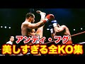 【K-1四天王】鉄人アンディ・フグのあまりに美しい全KO集