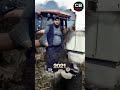 Yasin Cengiz Then And Now Yasin Tik Tok Dom Dom Shorts Shortfeed Celebritybiopic 